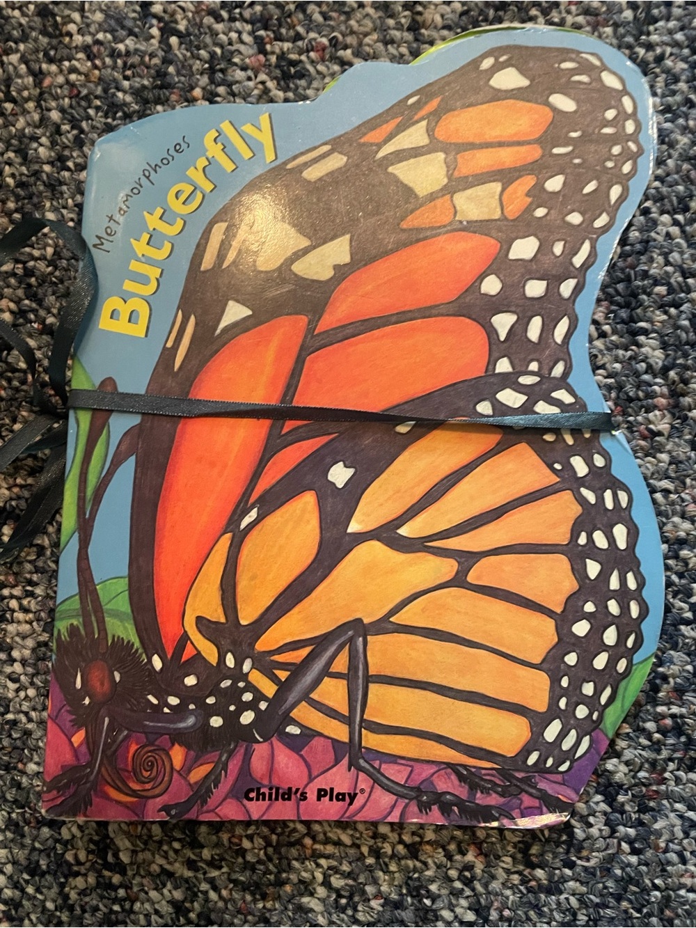 Metamorphosis Butterfly - Childs Play